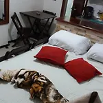 Conjugadinho